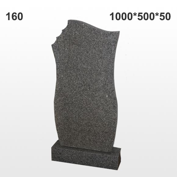 Памятник №160