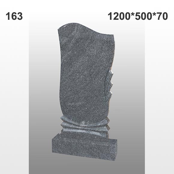 Памятник №163