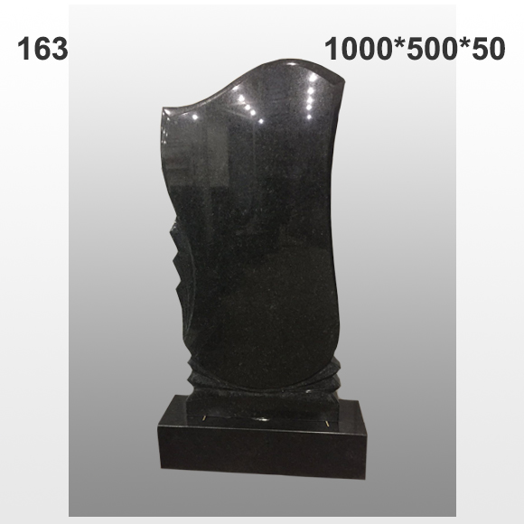 Памятник №163