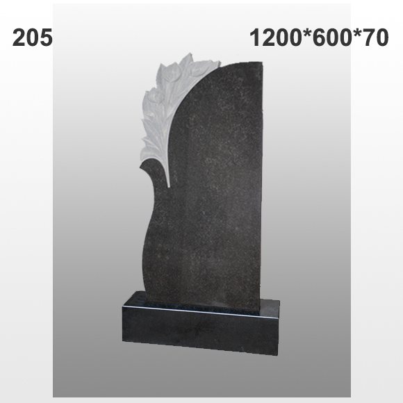 Памятник №205