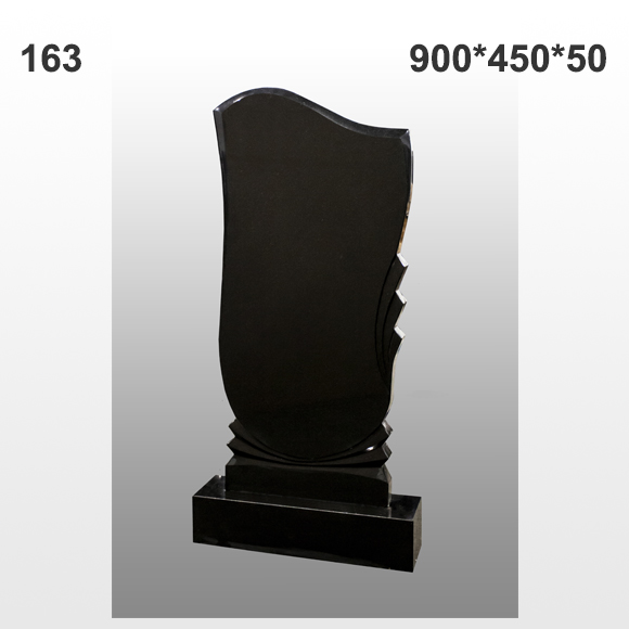 Памятник №163