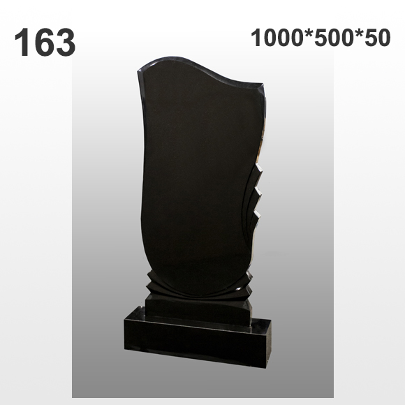 Памятник №163