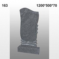 Памятник №163