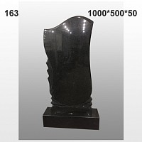 Памятник №163