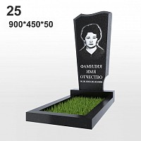 Памятник №25