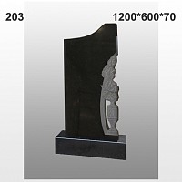 Памятник №203