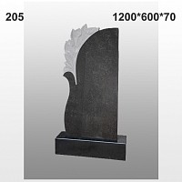 Памятник №205