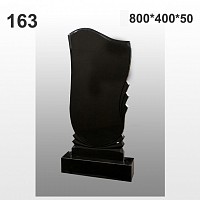 Памятник №163