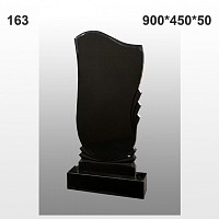 Памятник №163