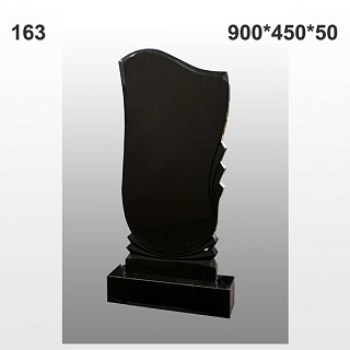 Памятник №163