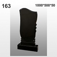 Памятник №163