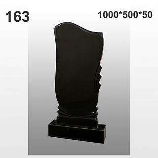Памятник №163